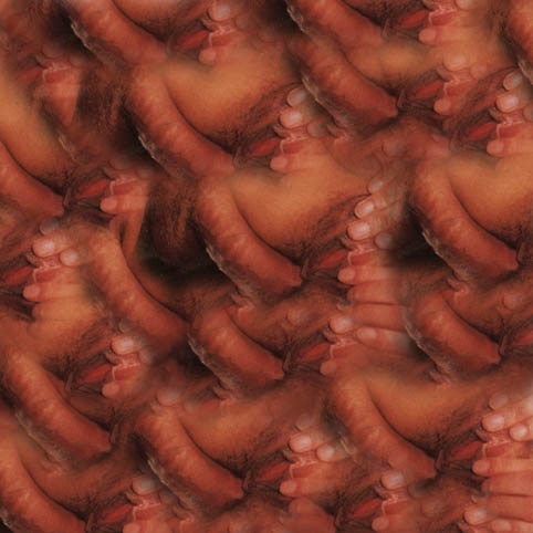 internet porno weekend 02