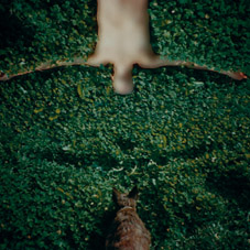 interexposed edition